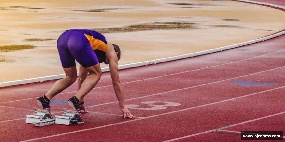 解读bb贝博艾弗森官方网站